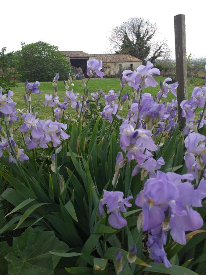 Logis De Bois Roche Villa Saint-Bonnet-sur-Gironde ภายนอก รูปภาพ