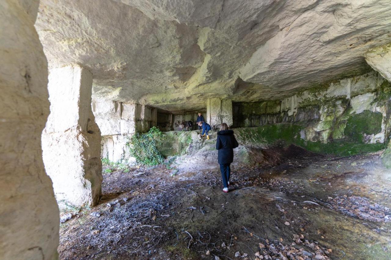 Logis De Bois Roche Villa Saint-Bonnet-sur-Gironde ภายนอก รูปภาพ