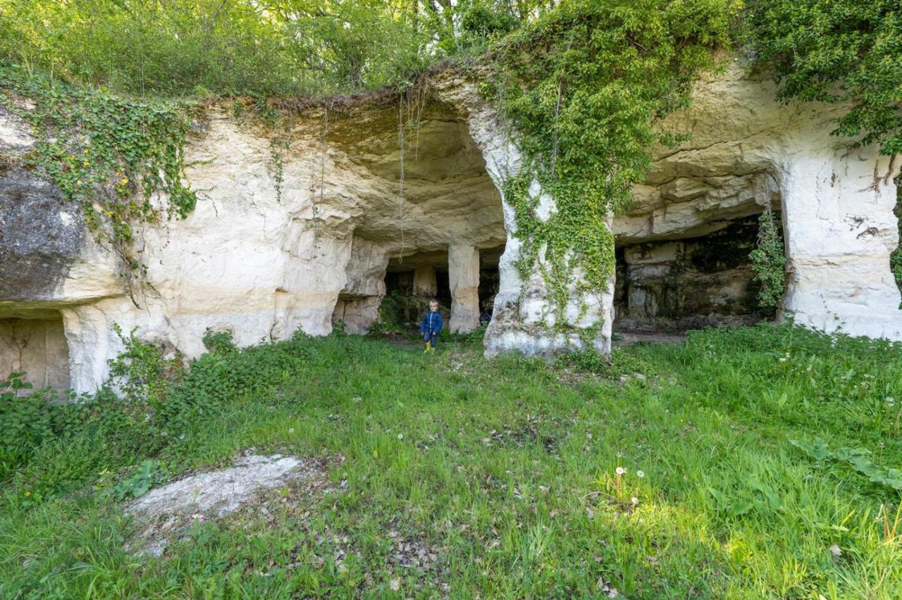 Logis De Bois Roche Villa Saint-Bonnet-sur-Gironde ภายนอก รูปภาพ