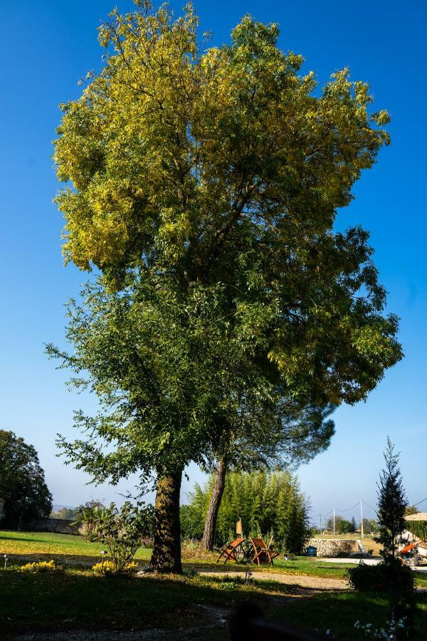 Logis De Bois Roche Villa Saint-Bonnet-sur-Gironde ภายนอก รูปภาพ